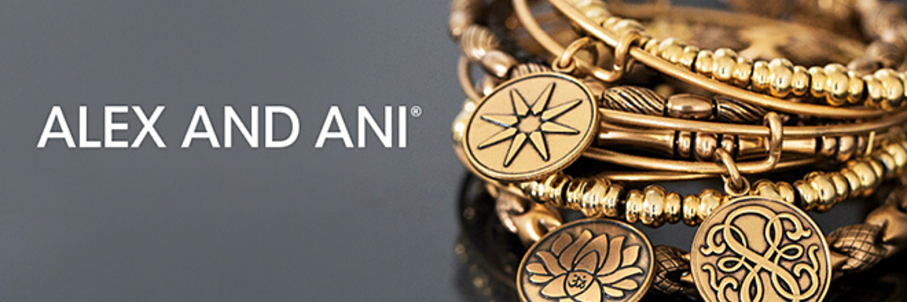 Alex and Ani Navy Bangle Bracelet (Silver)