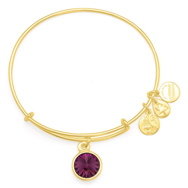 Crystal Birthstone February Bangle