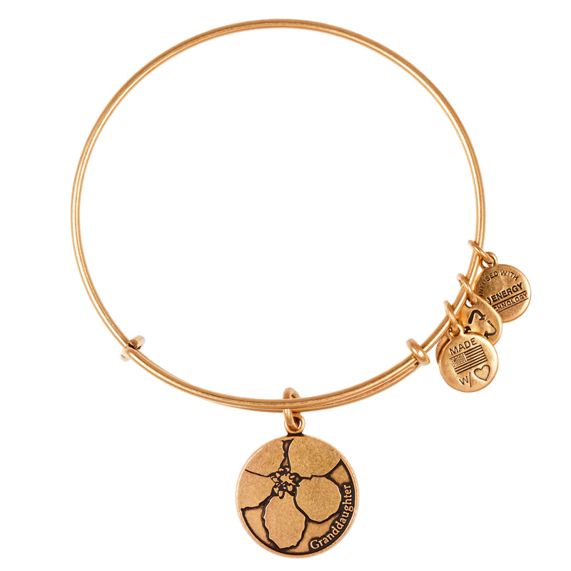 Alex And Ani Granddaughter Charm Rafaelian Gold Finish Bangle