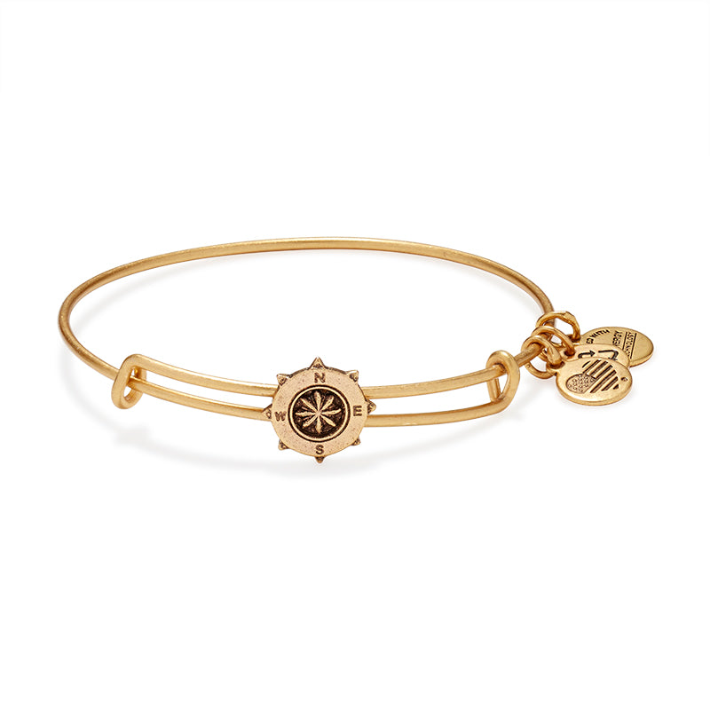Alex And Ani Compass Slider Rafaelian Gold Bangle