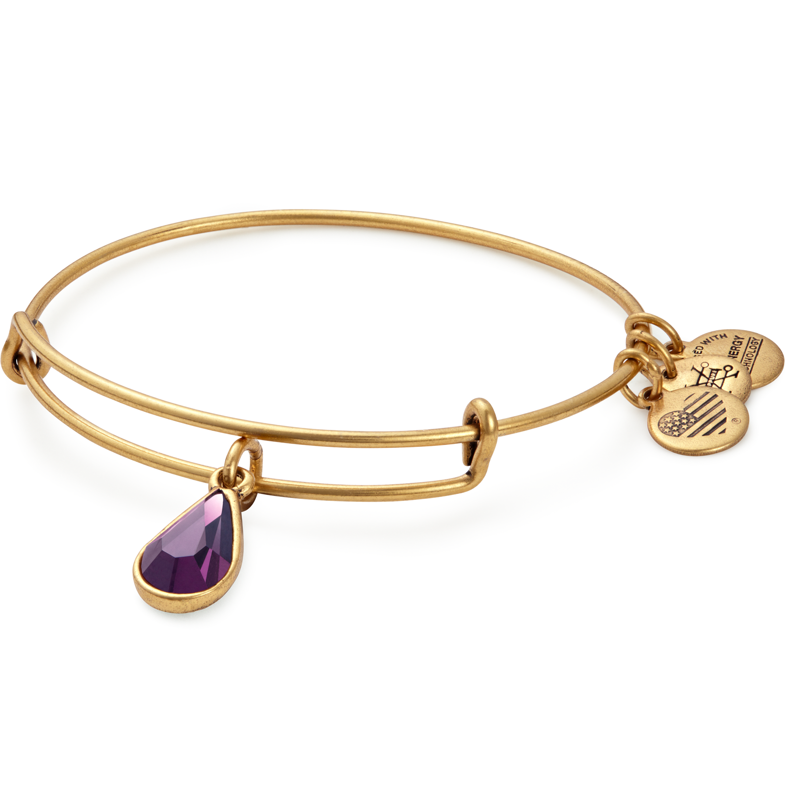 Alex And Ani February Drop Charm Bangle 