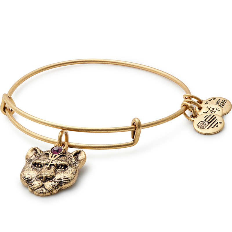 ALEX AND ANI Path Of Symbols Wild Heart Bangle