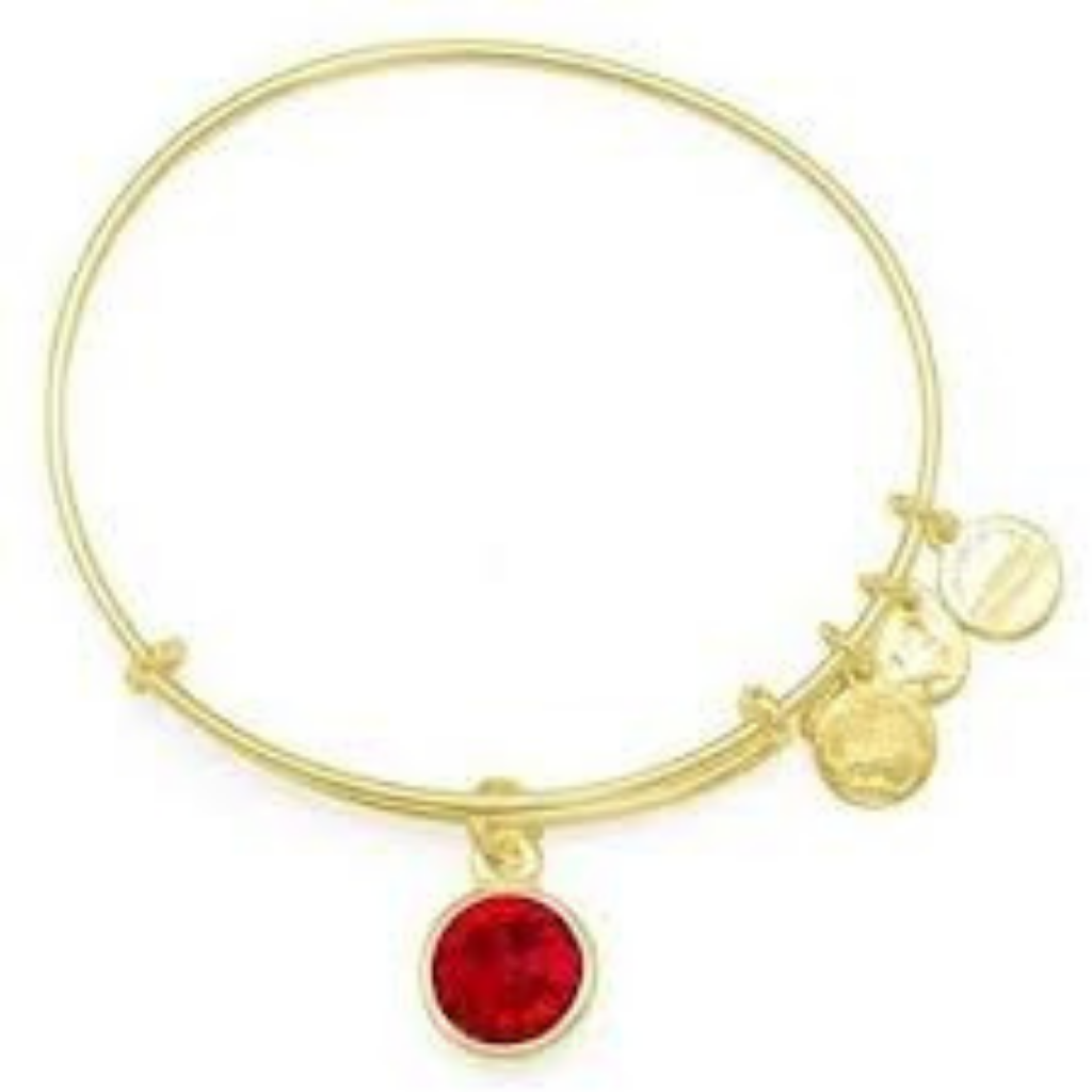 Crystal Birthstone January Bangle