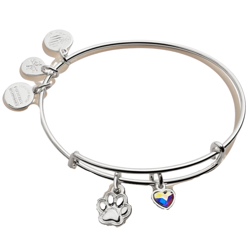 Paw Print Duo Charm Bangle