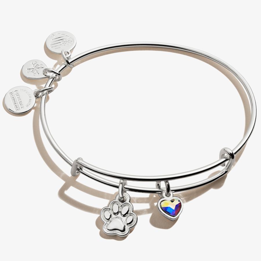 Alex and Ani Paw Print Duo Charm Bangle Monarch Jewels