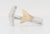 Two-Tone Double Fluke Whale Tail Ring